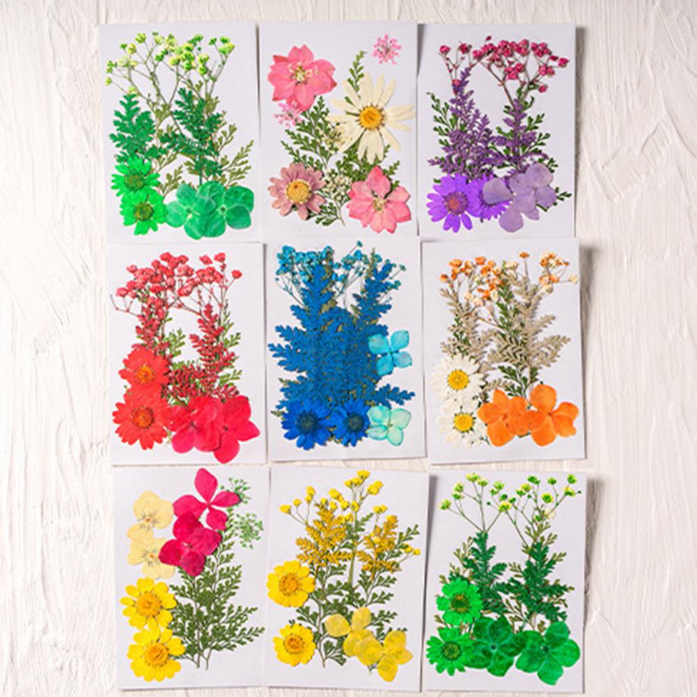 Dried Flower Bulk - Dried Flower Bouquet Premium Dried Flowers