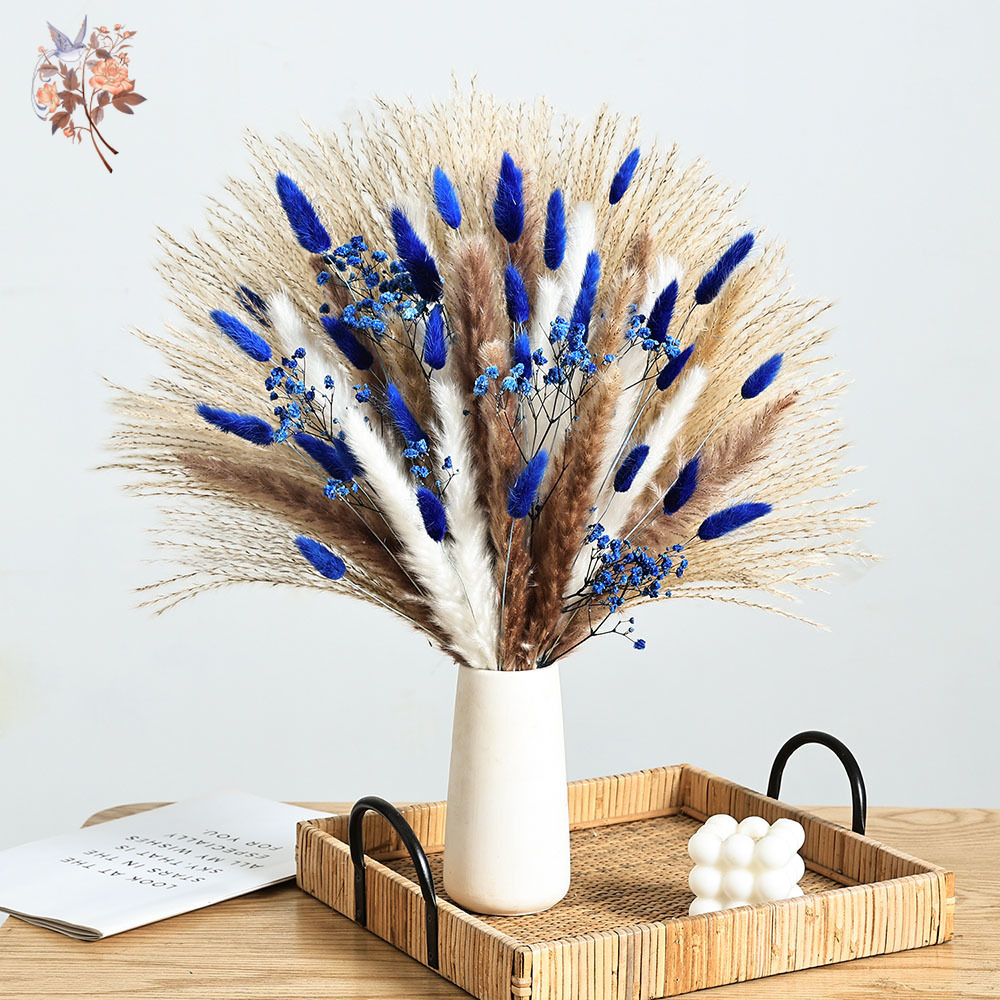 70 Stem Blue Fluffly Rabbit Ta - Dried Flower Bulk 리뷰 및 가격