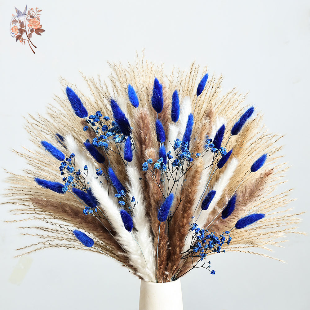 70 Stem Blue Fluffly Rabbit Ta - Dried Flower Bulk 리뷰 및 가격