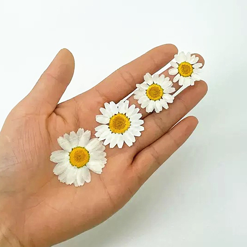 100Pcs Natural White Crystal C - Resin Craft Ideas 리뷰 및 가격