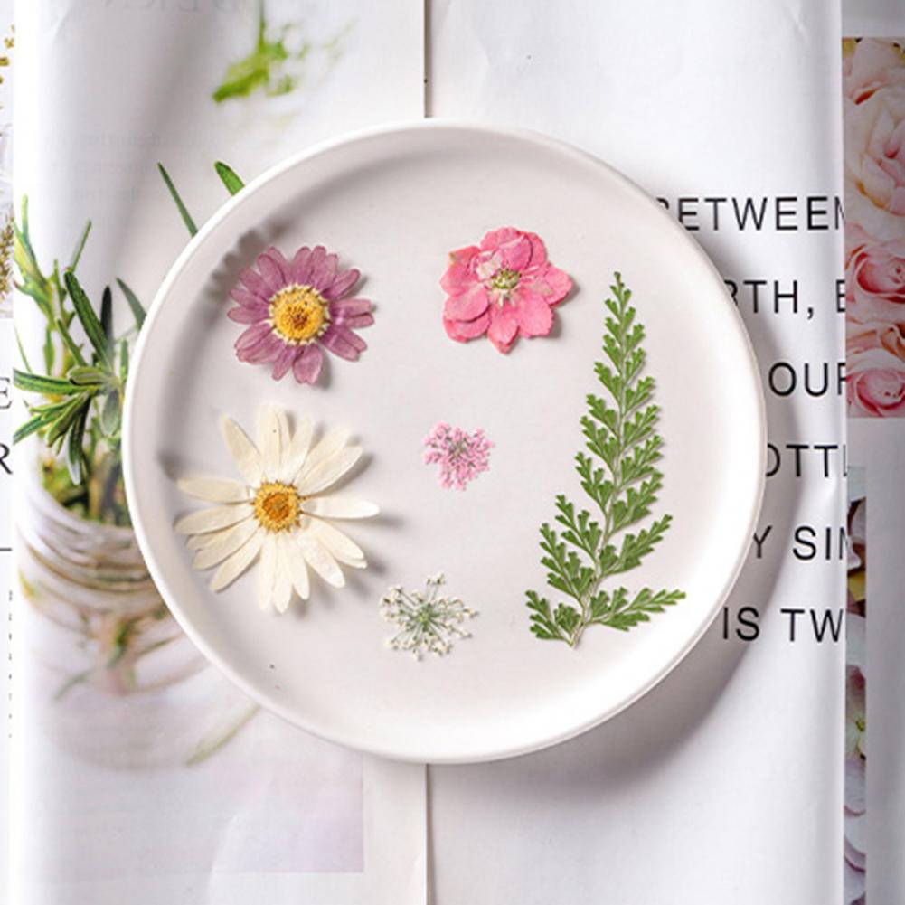 Dried Flower Bouquet Premium D - Dried Flower Bulk 리뷰 및 가격