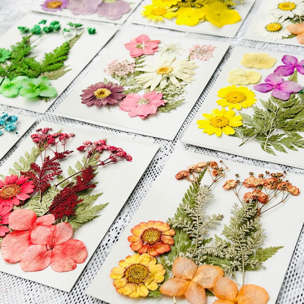 Dried Flower Bouquet Premium D - Dried Flower Bulk 리뷰 및 가격