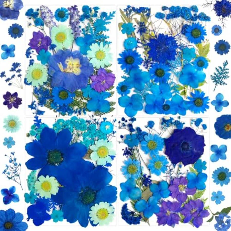 94Pcs Dried Pressed Flowers fo - Dried Flower Bulk 리뷰 및 가격