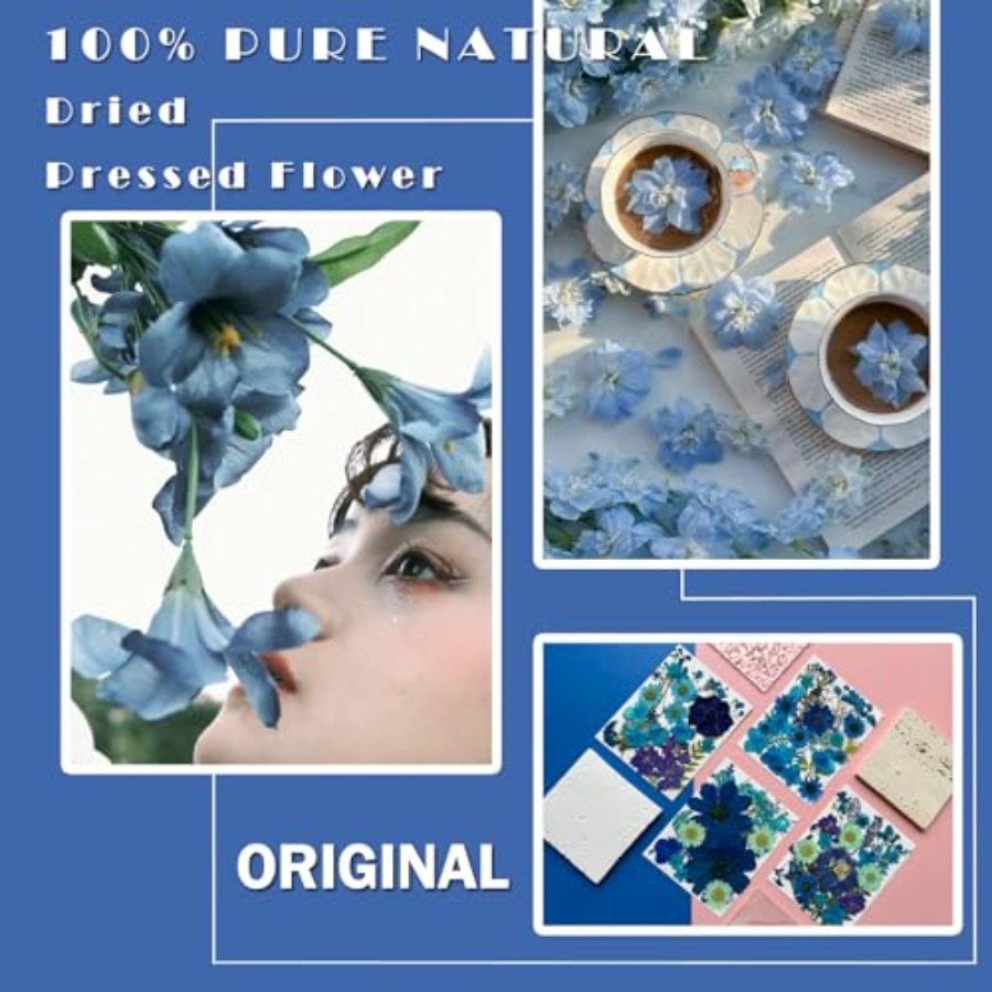94Pcs Dried Pressed Flowers fo - Dried Flower Bulk 리뷰 및 가격