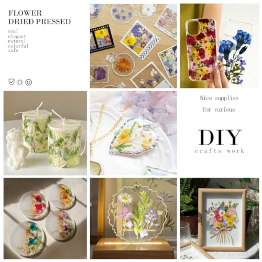 94Pcs Dried Pressed Flowers fo - Dried Flower Bulk 리뷰 및 가격