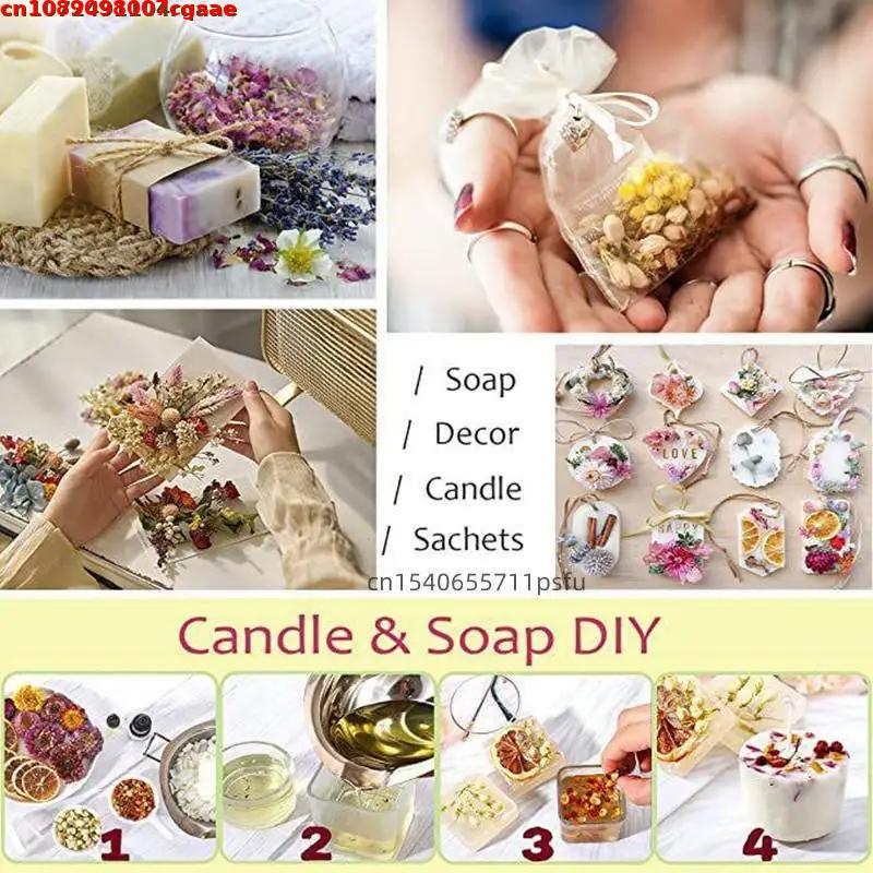 Premium Natural Dry Flower For - Dried Flower Bulk 리뷰 및 가격