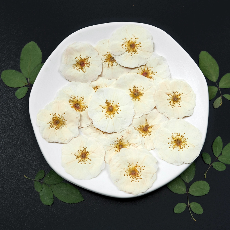 6pcs,9pcs,Nature White Rose Pr - Dried Flower Bulk 리뷰 및 가격