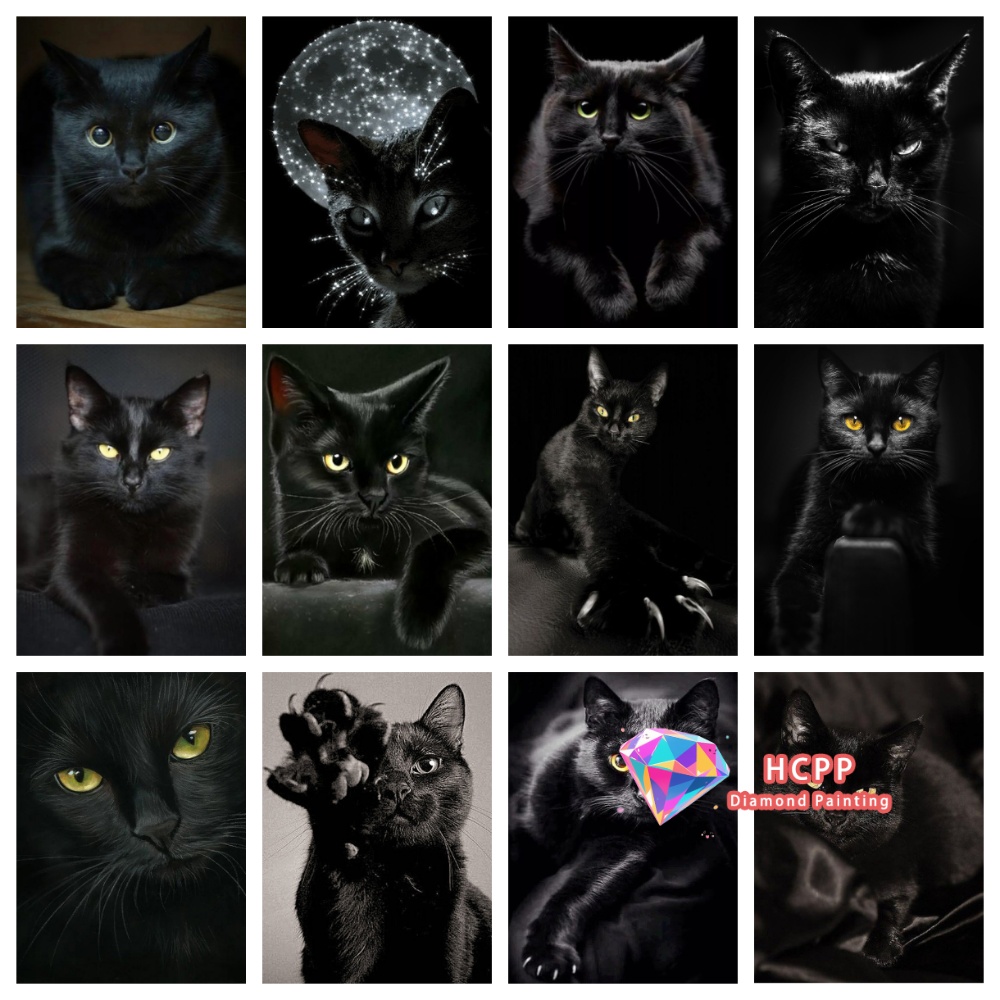 unframe Black Cat Animal Diamo - Resin Craft Kit 리뷰 및 가격