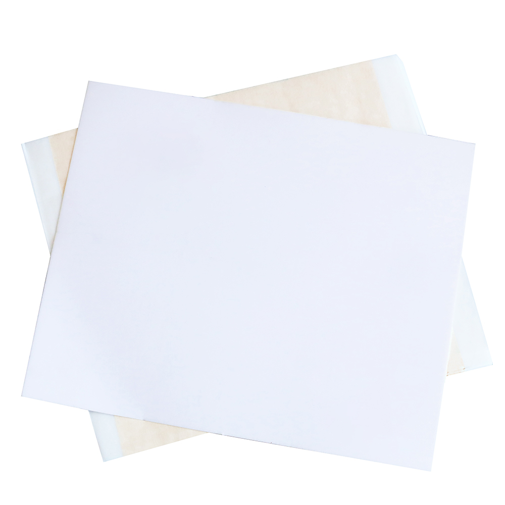 13x13.5cm Champagne Silver Foi - Gold Foil Flakes 리뷰 및 가격