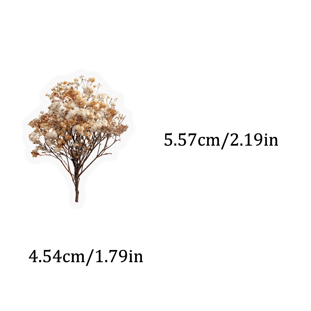 50PCS Retro Color Dried Flower - Dried Flower Bulk 리뷰 및 가격