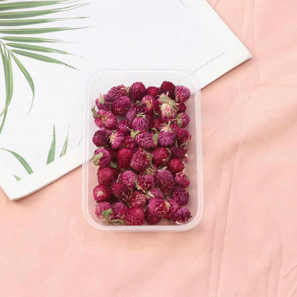 Natural Flowers Diy Dried Flow - Dried Flower Bulk 리뷰 및 가격