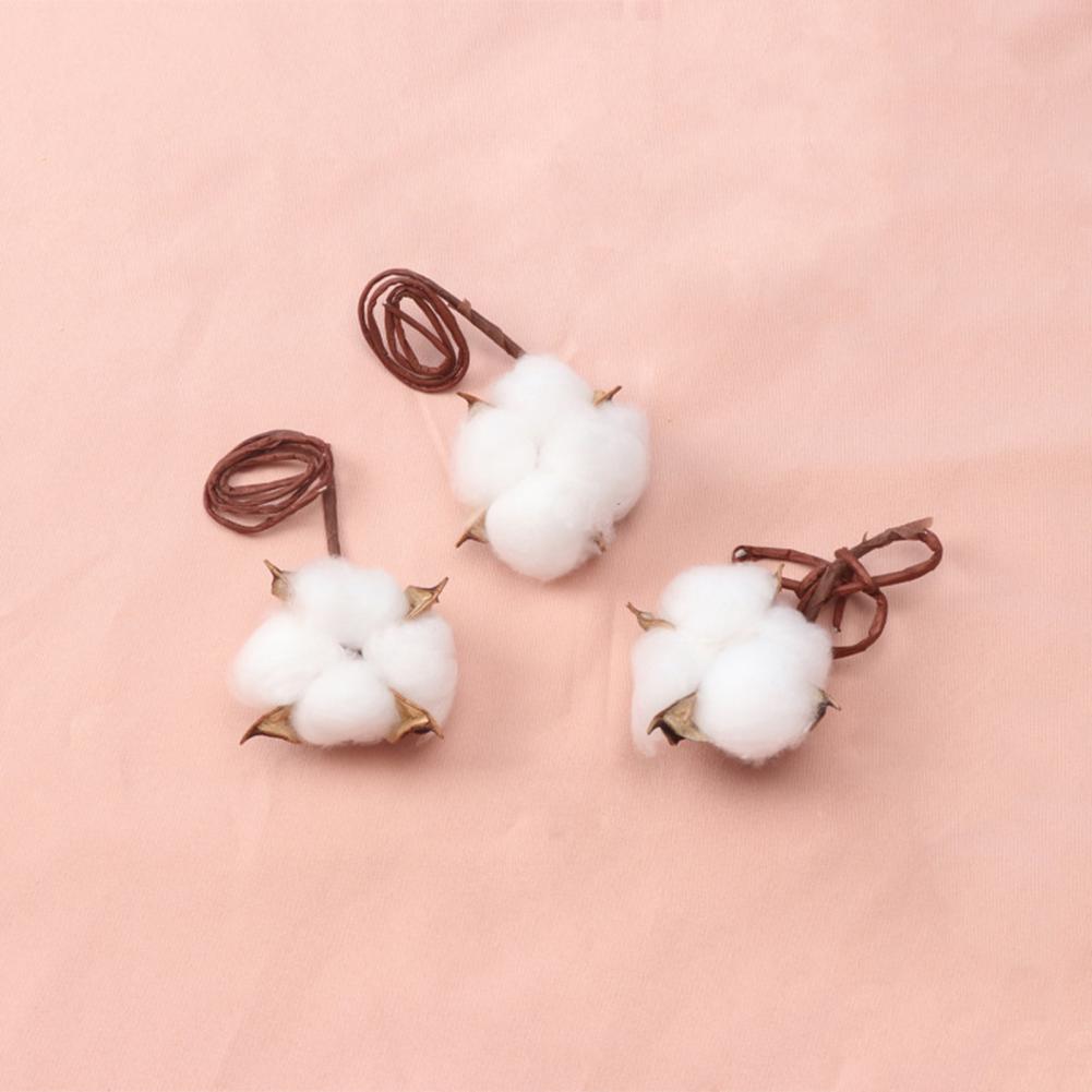 Natural Flowers Diy Dried Flow - Dried Flower Bulk 리뷰 및 가격