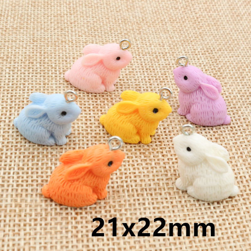10PCS Resin Pendant Charms Rab - Resin Craft Supplies 리뷰 및 가격