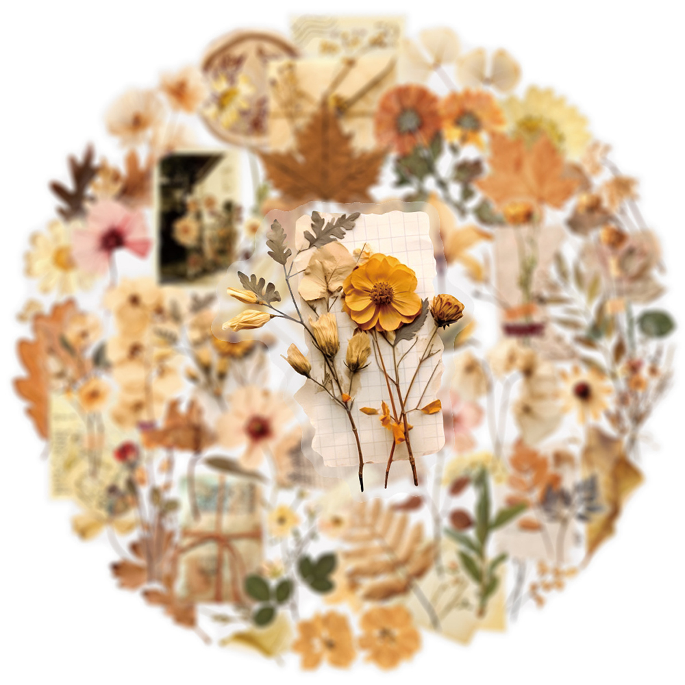 10/30/50pcs Transparent Dried  - Dried Flower Bulk 리뷰 및 가격