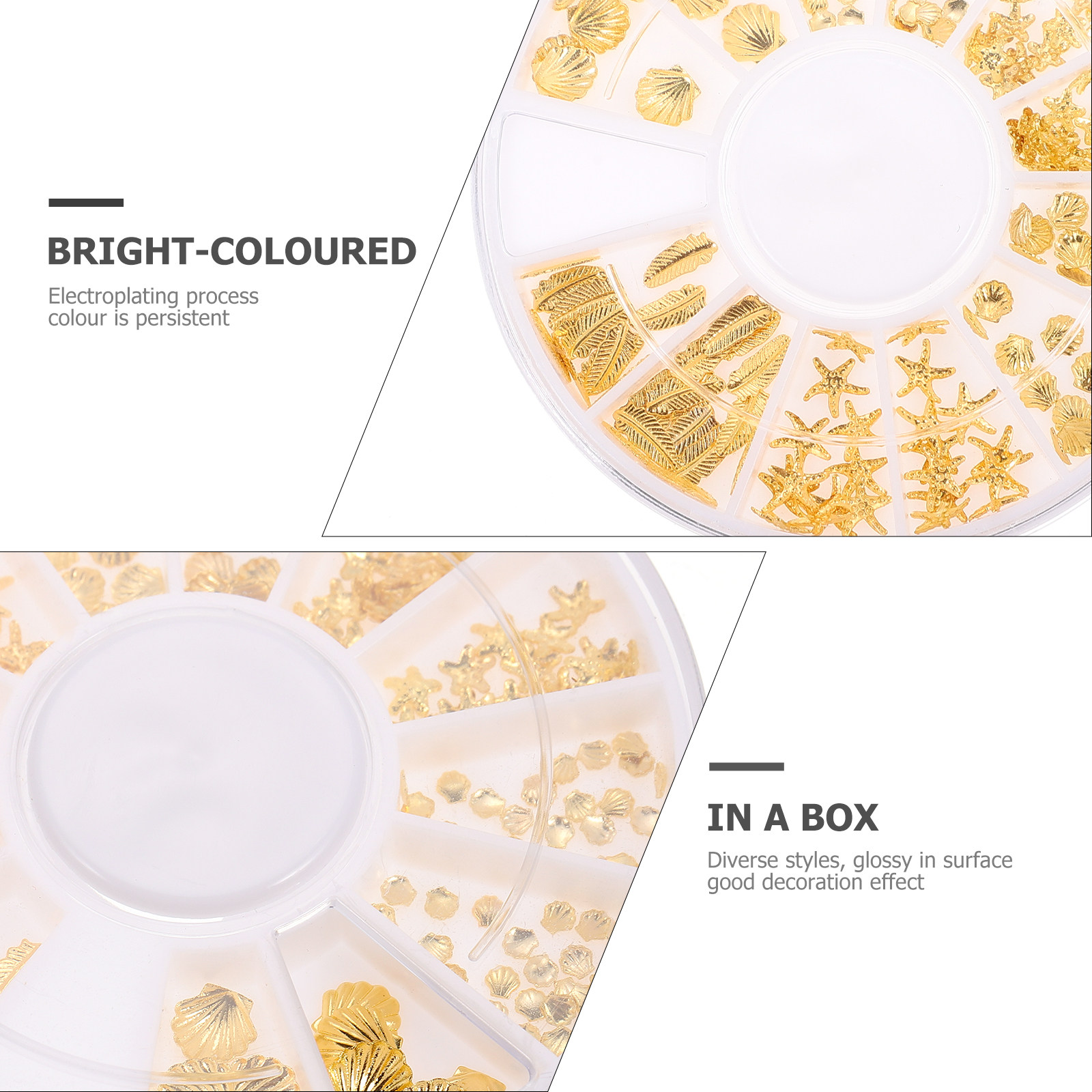 2 Boxes Seashells Resin Fillin - Resin Craft Material 리뷰 및 가격