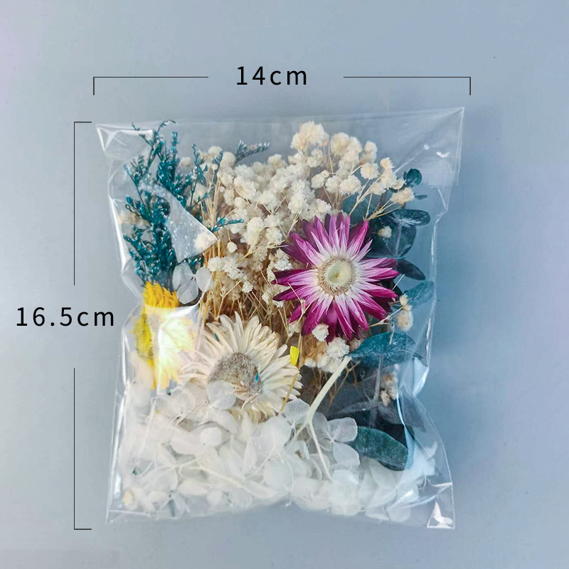 1pack Multifarious Dried Flowe - Dried Flower Bulk 리뷰 및 가격
