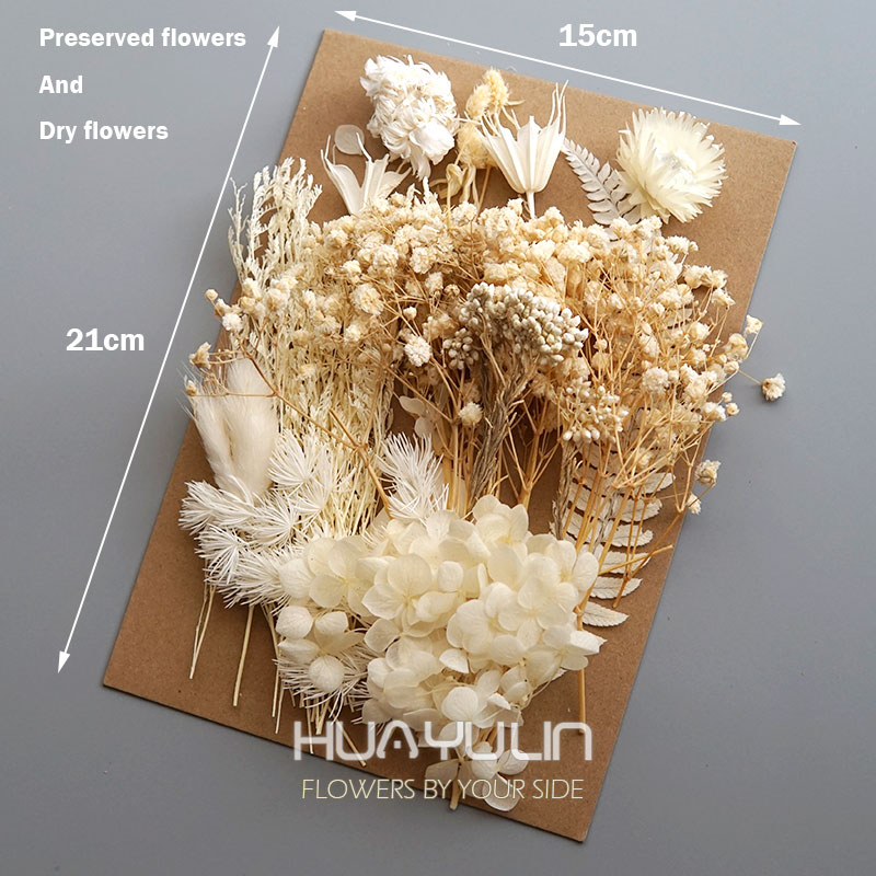 1 Pack Artificial Plants Dried - Dried Flower Bulk 리뷰 및 가격