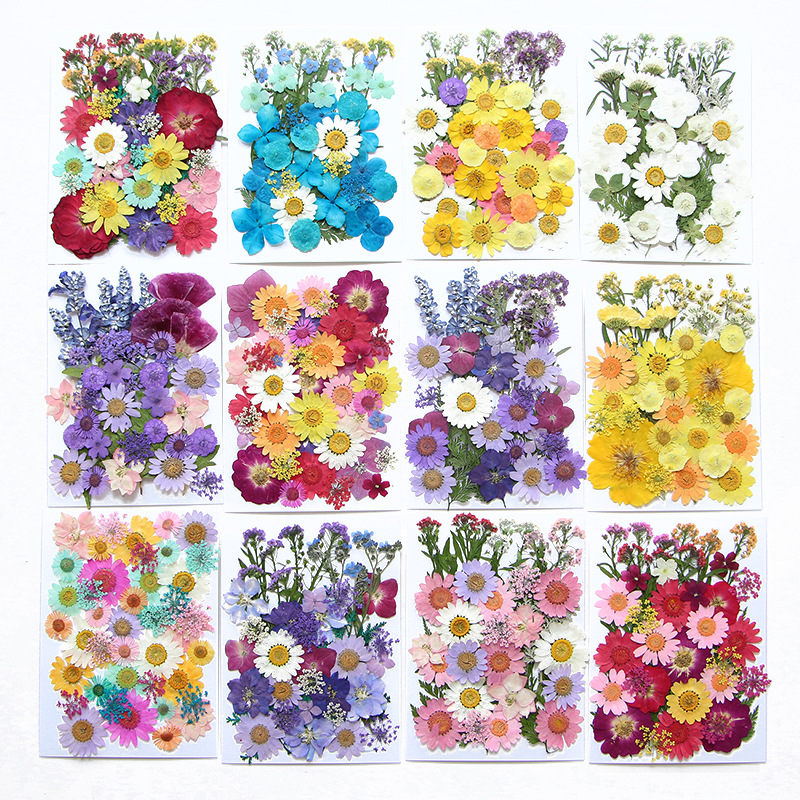 6pcsDried Flowers Real Natural - Flower Preservation Resin 리뷰 및 가격