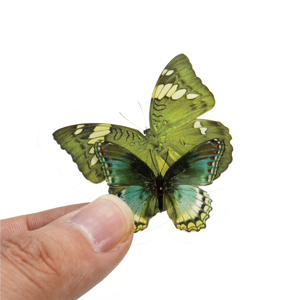 40pcs Colorful Butterfly Wings - Gold Foil Flakes 리뷰 및 가격