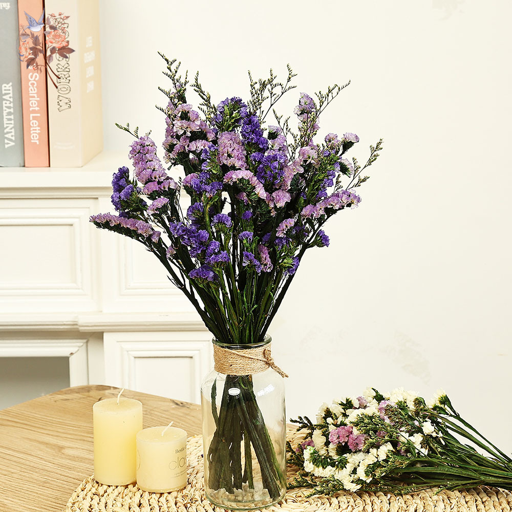 100g Natural Real Forget-me-no - Dried Flower Bulk 리뷰 및 가격