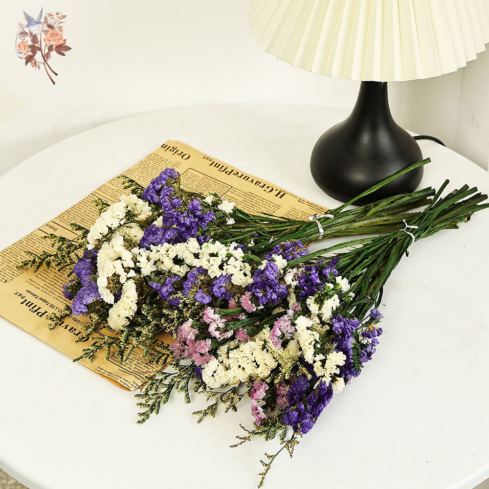 100g Natural Real Forget-me-no - Dried Flower Bulk 리뷰 및 가격