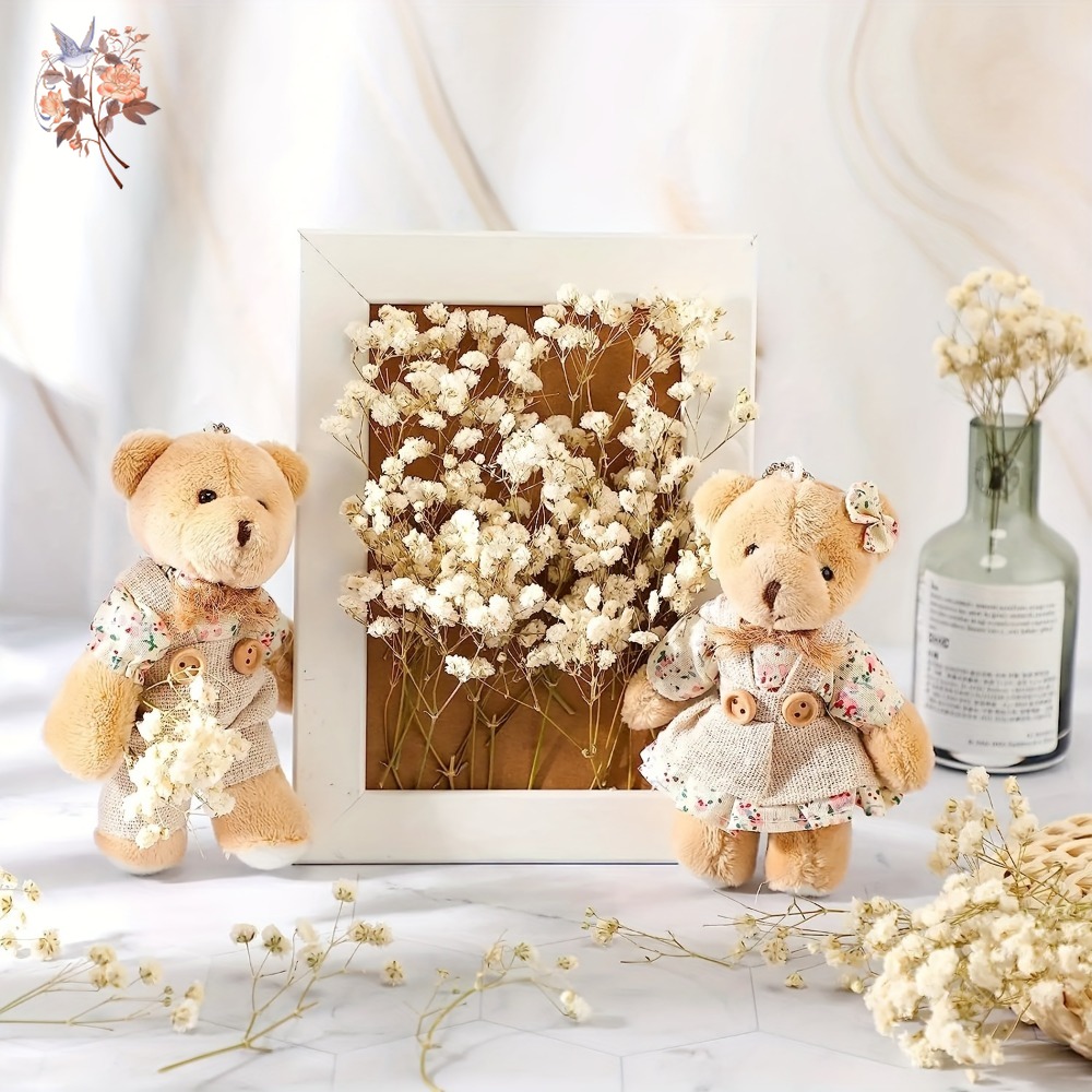 100pcs Mini Dried Baby's Breat - Dried Flower Bulk 리뷰 및 가격